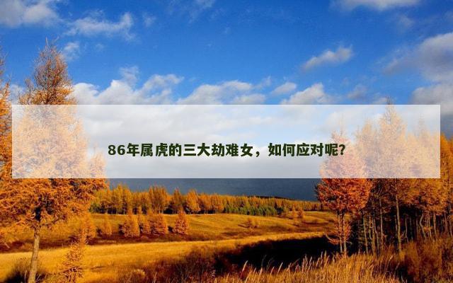 86年属虎的三大劫难女，如何应对呢？