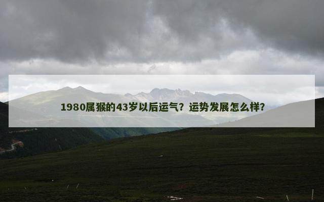 1980属猴的43岁以后运气？运势发展怎么样？