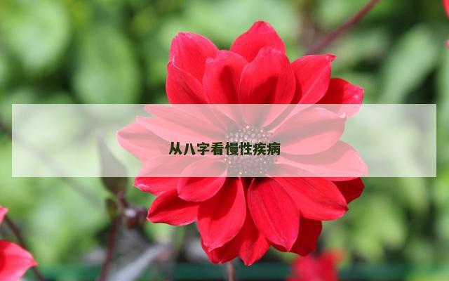 从八字看慢性疾病