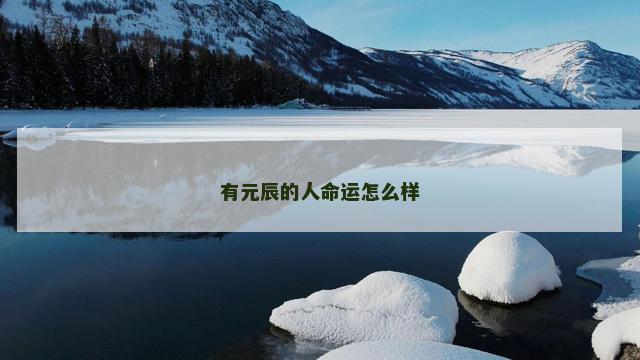 有元辰的人命运怎么样