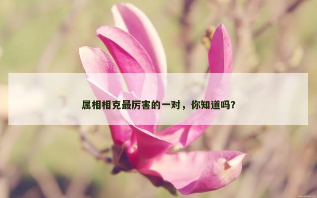 属相相克最厉害的一对，你知道吗？