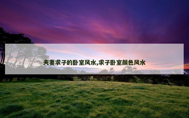 夫妻求子的卧室风水,求子卧室颜色风水