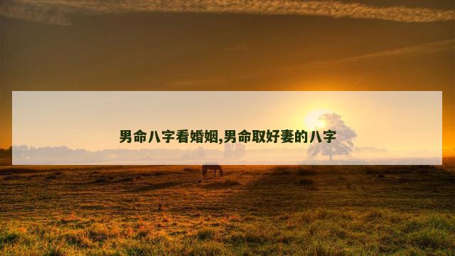 男命八字看婚姻,男命取好妻的八字