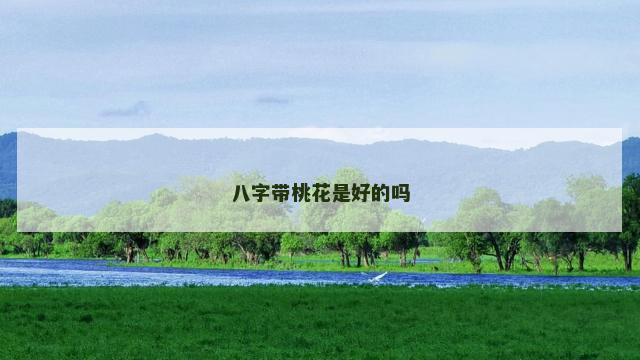 八字带桃花是好的吗