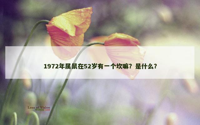 1972年属鼠在52岁有一个坎嘛？是什么？