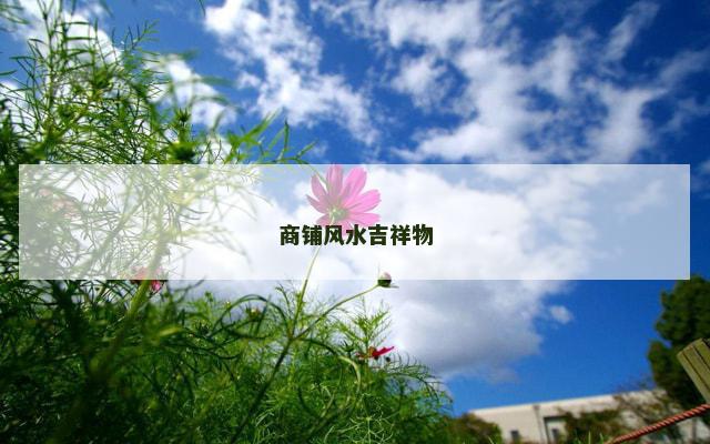 商铺风水吉祥物