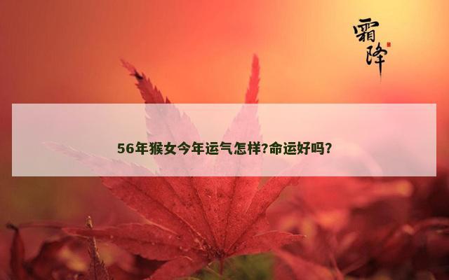 56年猴女今年运气怎样?命运好吗？