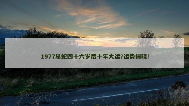 1977属蛇四十六岁后十年大运?运势揭晓!