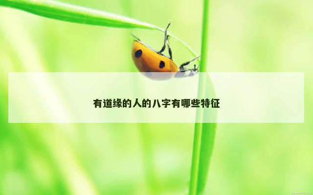 有道缘的人的八字有哪些特征