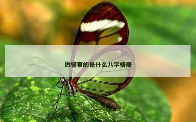 做警察的是什么八字格局