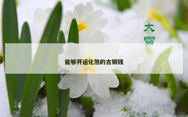 能够开运化煞的古铜钱