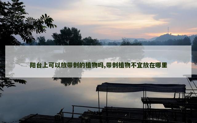 阳台上可以放带刺的植物吗,带刺植物不宜放在哪里