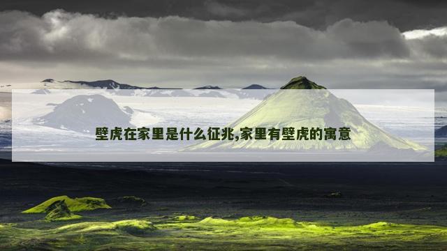 壁虎在家里是什么征兆,家里有壁虎的寓意