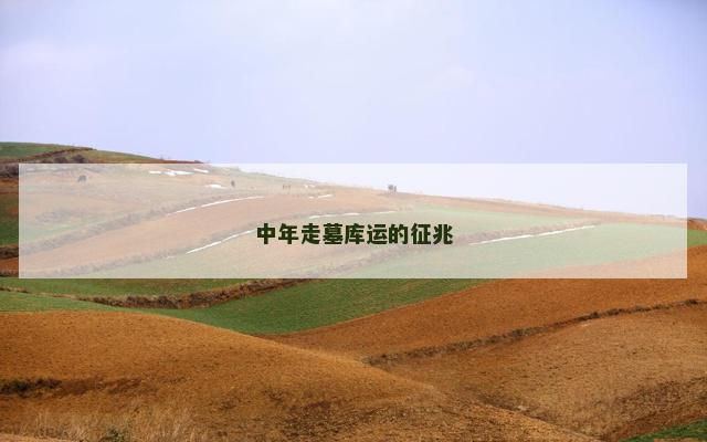 中年走墓库运的征兆