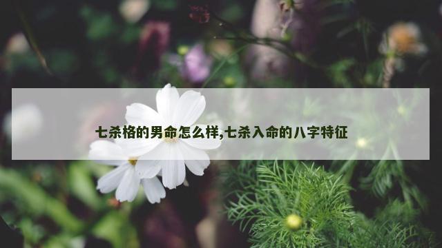 七杀格的男命怎么样,七杀入命的八字特征