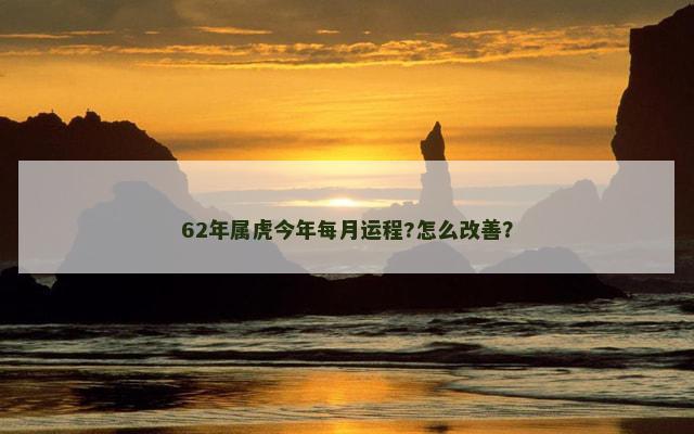 62年属虎今年每月运程?怎么改善？