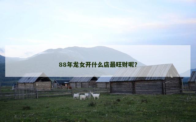 88年龙女开什么店最旺财呢？