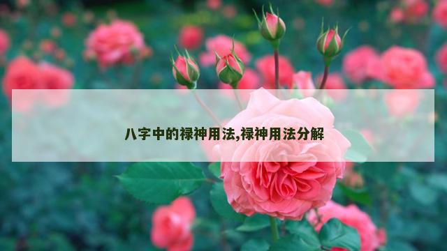 八字中的禄神用法,禄神用法分解