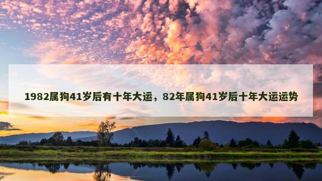 1982属狗41岁后有十年大运，82年属狗41岁后十年大运运势