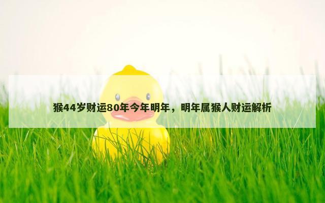 猴44岁财运80年今年明年，明年属猴人财运解析