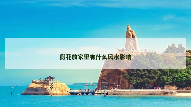 假花放家里有什么风水影响
