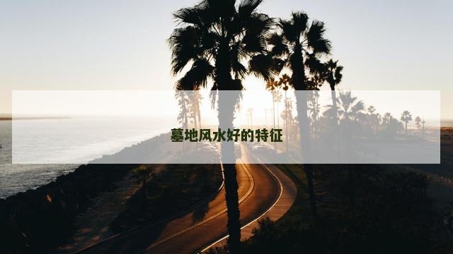 墓地风水好的特征