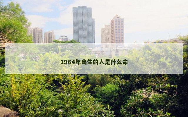 1964年出生的人是什么命