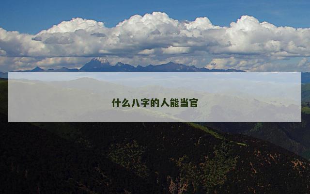 什么八字的人能当官