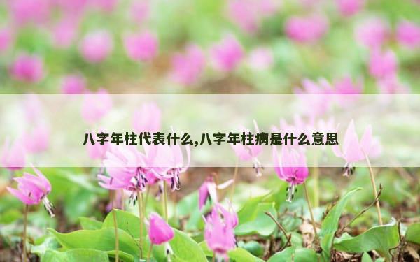 八字年柱代表什么,八字年柱病是什么意思
