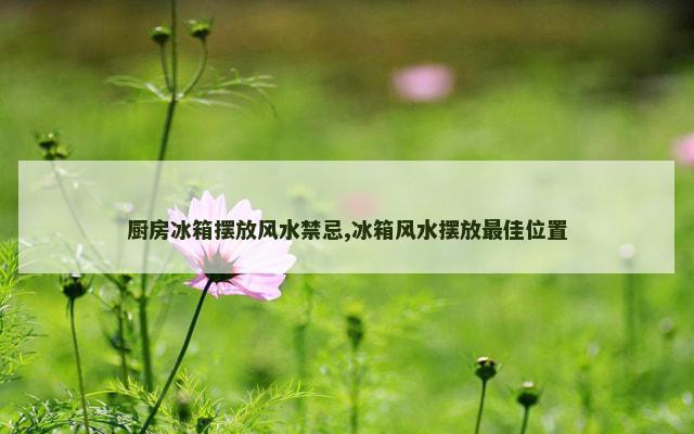 厨房冰箱摆放风水禁忌,冰箱风水摆放最佳位置