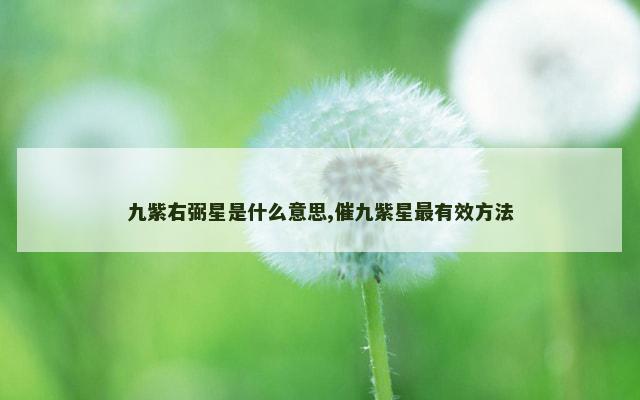 九紫右弼星是什么意思,催九紫星最有效方法