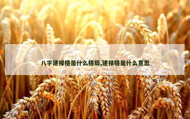 八字建禄格是什么格局,建禄格是什么意思
