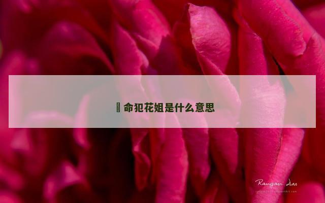 ​命犯花姐是什么意思