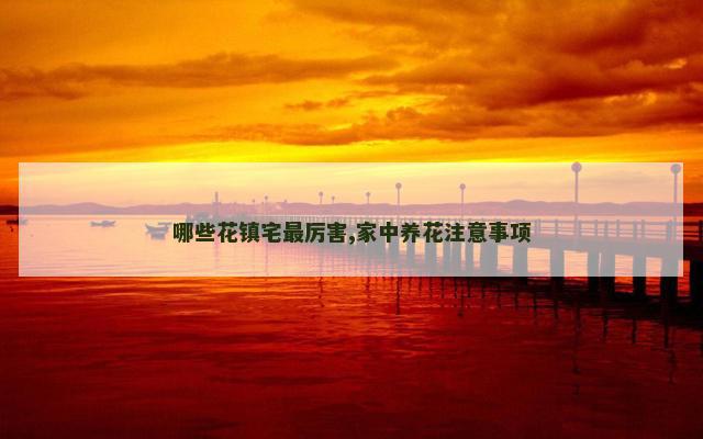 哪些花镇宅最厉害,家中养花注意事项