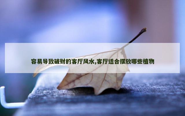 容易导致破财的客厅风水,客厅适合摆放哪些植物