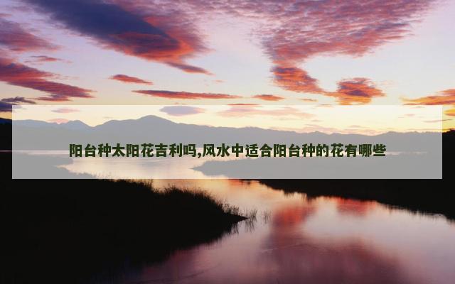 阳台种太阳花吉利吗,风水中适合阳台种的花有哪些