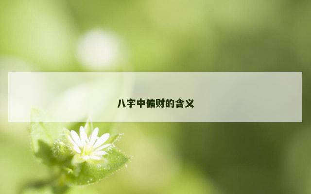 八字中偏财的含义