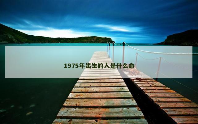 1975年出生的人是什么命