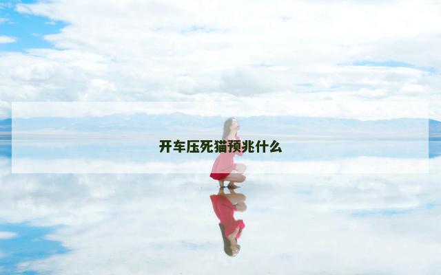 开车压死猫预兆什么