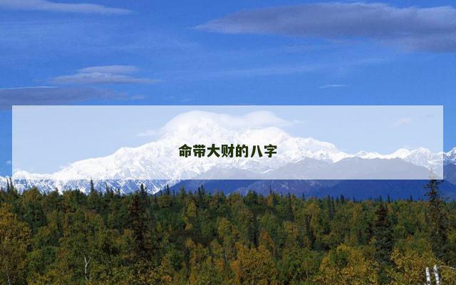 命带大财的八字