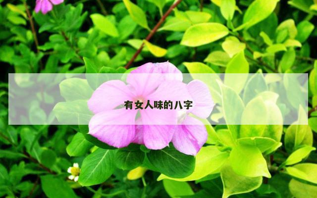 有女人味的八字