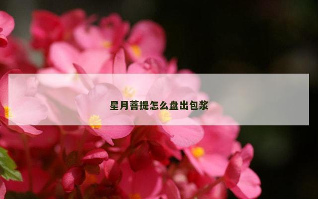 星月菩提怎么盘出包浆