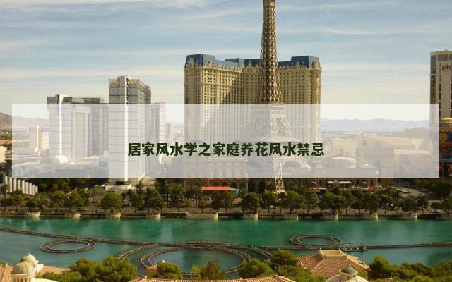 居家风水学之家庭养花风水禁忌