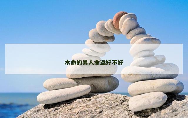木命的男人命运好不好