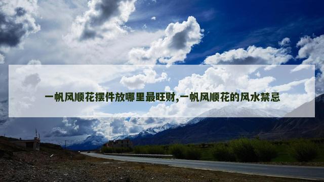 一帆风顺花摆件放哪里最旺财,一帆风顺花的风水禁忌