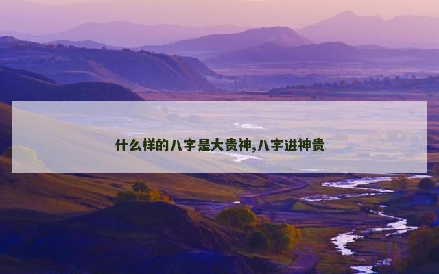 什么样的八字是大贵神,八字进神贵