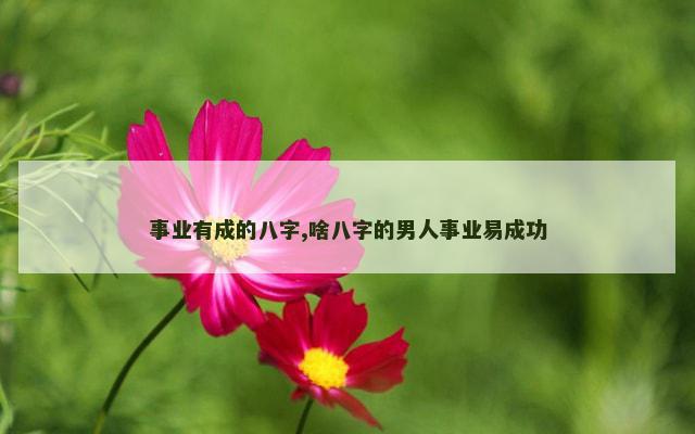 事业有成的八字,啥八字的男人事业易成功
