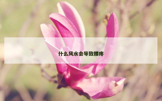 什么风水会导致腰疼
