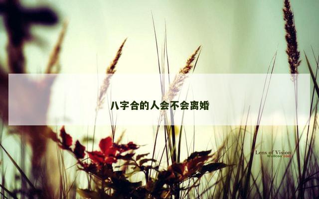 八字合的人会不会离婚