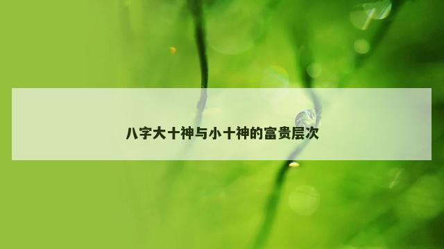 八字大十神与小十神的富贵层次